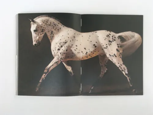 Pferde in der Kunst*DuMont Buchverlag GmbH