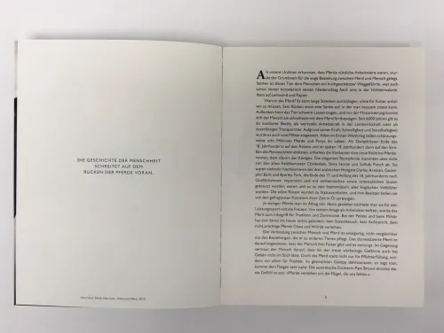 Pferde in der Kunst*DuMont Buchverlag GmbH