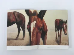 Pferde in der Kunst*DuMont Buchverlag GmbH