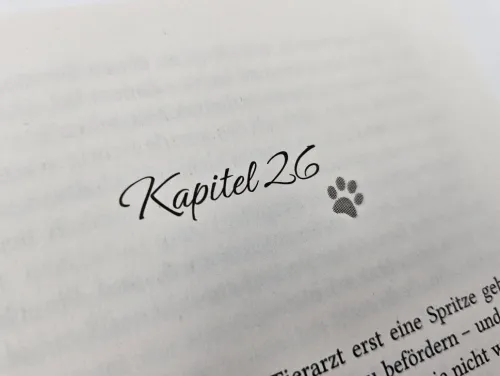 Pfotenglück - Dackel Max sucht Wolke sieben*Piper Verlag GmbH New