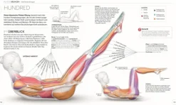 Pilates - Die Anatomie verstehen*Dorling Kindersley Verlag Hot