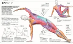 Pilates - Die Anatomie verstehen*Dorling Kindersley Verlag Hot