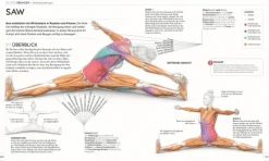 Pilates - Die Anatomie verstehen*Dorling Kindersley Verlag Hot