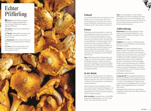 Pilze. Das Kochbuch*Dorling Kindersley Verlag Clearance