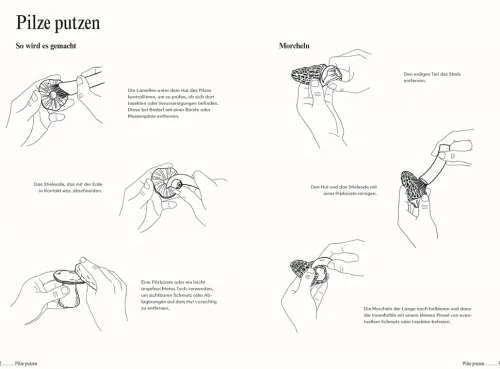 Pilze. Das Kochbuch*Dorling Kindersley Verlag Clearance