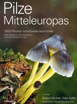 Haupt Verlag AG Biologie-Pilze Mitteleuropas