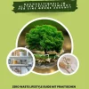 tredition Einkaufsführer*Plastikfrei leben: Nachhaltigkeit im Alltag leicht gemacht für eine grüne Zukunft (Zero Waste Lifestyle Guide mit praktischen Tipps und Tricks für ein plastikfreies Leben)