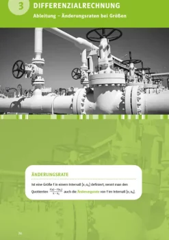 Klett Lerntraining Abi Trainer·Mathematik*PONS Abi-Check XXL Mathematik