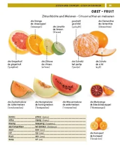 Pons Langenscheidt GmbH Lexika & Sprachen-PONS Bildwörterbuch Niederländisch