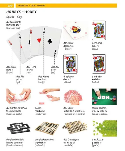 Pons Langenscheidt GmbH Lexika & Sprachen-PONS Bildwörterbuch Polnisch