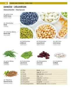 PONS Bildwörterbuch Ungarisch*Pons Langenscheidt GmbH