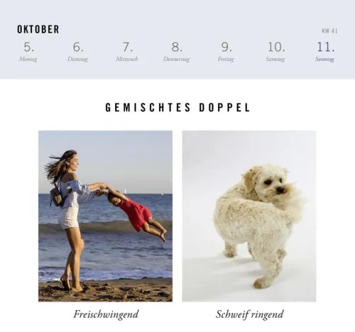 Pattloch Postkartenkalender-Postkartenkalender 2026: Gemischtes Doppel