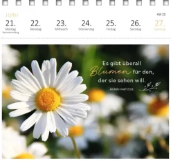 Postkartenkalender 365 Tage Sonne im Herzen 2027*Ars Edition GmbH