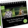Postkartenkalender 2026: Von Pechvögeln und bunten Hunden*Pattloch Outlet