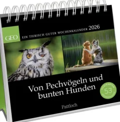 Postkartenkalender 2026: Von Pechvögeln und bunten Hunden*Pattloch Outlet