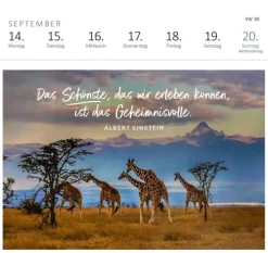 ars edition Postkartenkalender-Postkartenkalender Fernwehmomente 2026