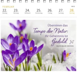 Postkartenkalender Gartenglück 2027*Ars Edition GmbH Best