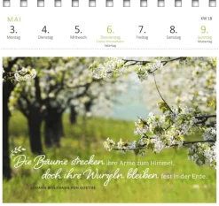 Postkartenkalender Gartenglück 2027*Ars Edition GmbH Best