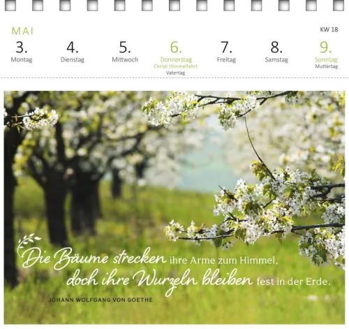 Postkartenkalender Gartenglück 2027*Ars Edition GmbH Best