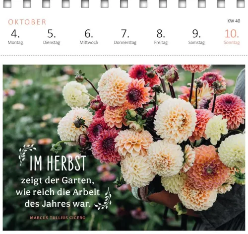 Postkartenkalender Gartenglück 2027*Ars Edition GmbH Best