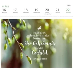 ars edition Postkartenkalender*Postkartenkalender Gartenglück 2026