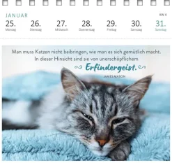 Ars Edition GmbH Geburtstagskalender*Postkartenkalender Katzenweisheiten 2027