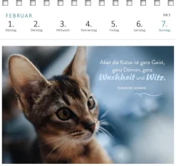 Ars Edition GmbH Geburtstagskalender*Postkartenkalender Katzenweisheiten 2027