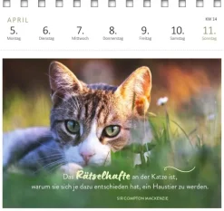 Ars Edition GmbH Geburtstagskalender*Postkartenkalender Katzenweisheiten 2027
