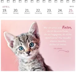 Ars Edition GmbH Geburtstagskalender*Postkartenkalender Katzenweisheiten 2027