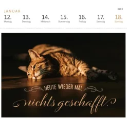 ars edition Postkartenkalender*Postkartenkalender Vergiss Rosen, streu mir Pommes aufs Bett. 2026