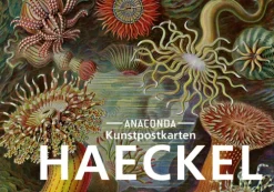 Anaconda Verlag Postkarten*Postkarten-Set Ernst Haeckel