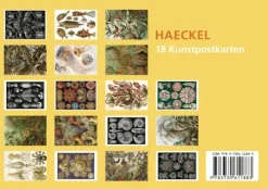 Anaconda Verlag Postkarten*Postkarten-Set Ernst Haeckel