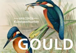 Anaconda Verlag Postkarten*Postkarten-Set John Gould