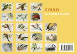 Anaconda Verlag Postkarten*Postkarten-Set John Gould