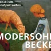Anaconda Verlag Postkarten*Postkarten-Set Paula Modersohn-Becker