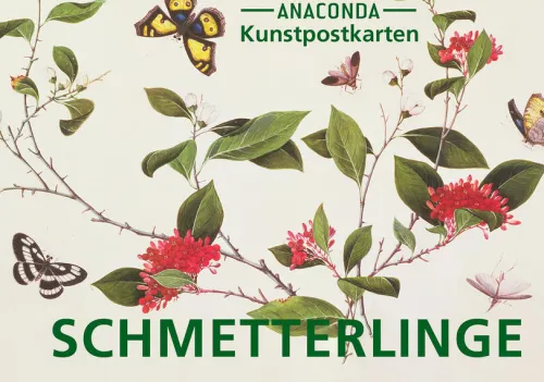 Anaconda Verlag Postkarten*Postkarten-Set Schmetterlinge