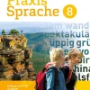 Westermann Schulbuch Nach Schulform·Realschule|Nach Schulform·Hauptschule-Praxis Sprache 8. Schulbuch. Differenzierende Ausgabe