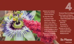 Haupt Verlag AG Umweltwissenschaft*Praxisbuch Waldgarten