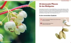 Haupt Verlag AG Umweltwissenschaft*Praxisbuch Waldgarten