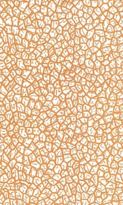 Premium Tarot von A.E. Waite*Königsfurt-Urania Sale