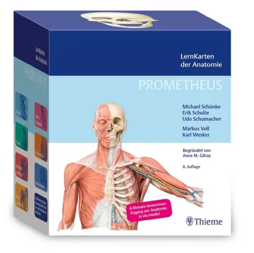 PROMETHEUS LernKarten der Anatomie*Georg Thieme Verlag Sale
