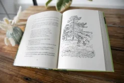 Dressler 6-10 Jahre*Pu der Bär