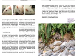 Haupt Verlag AG Biologie*Ratten