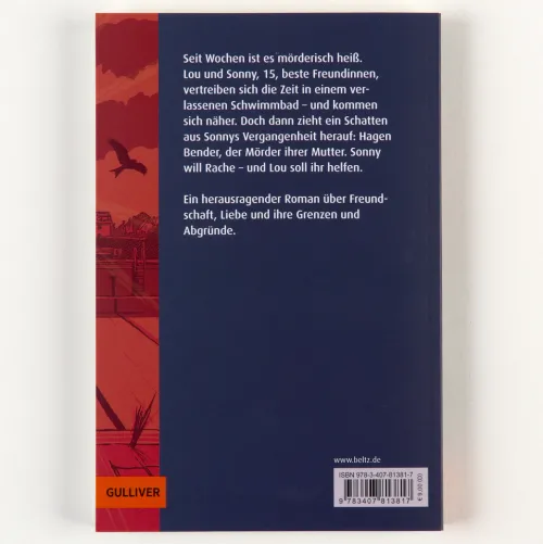 Beltz Verlagsgruppe Lgbtqia+ Jugendbücher-Rattensommer