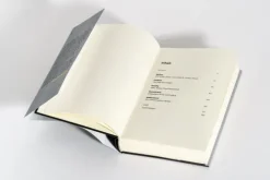 Raubzug von rechts*Goldmann Verlag New