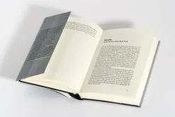 Raubzug von rechts*Goldmann Verlag New