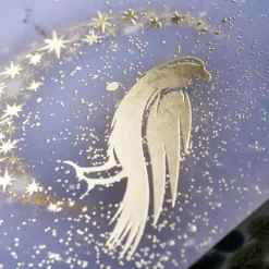 Carlsen Verlag GmbH Young Adult|Fantasy*Ravenhall Academy 1: Verborgene Magie