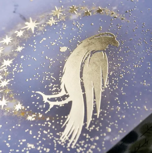 Carlsen Verlag GmbH Young Adult|Fantasy*Ravenhall Academy 1: Verborgene Magie