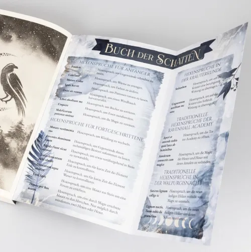 Carlsen Verlag GmbH Young Adult|Fantasy*Ravenhall Academy 1: Verborgene Magie