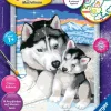 Ravensburger Basteln & Kreatives*- Malen nach Zahlen - Husky Kuss